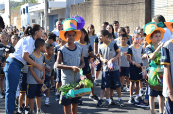 Foto - Desfile Cívico - Pompeia 97 anos