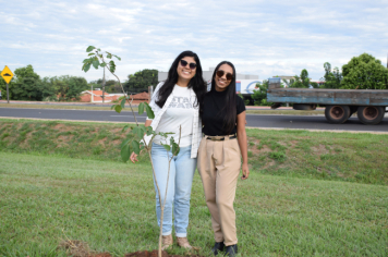 Foto - Plantio dos Ipês