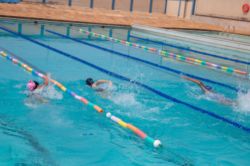Foto - Natação
