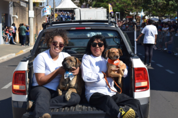 Foto - Desfile Cívico - Pompeia 97 anos