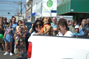Foto - Desfile Cívico - Pompeia 97 anos