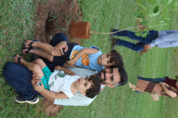 Foto - Plantio dos Ipês