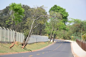 Prefeita Tina realiza entrega oficial de obras de pavimentação nesta sexta e sábado