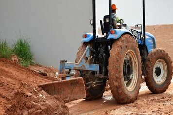 Portal dos pássaros recebe ação intensiva de limpeza