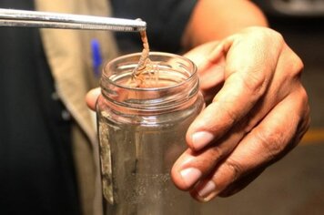 DHS alerta sobre o aparecimento de escorpiões