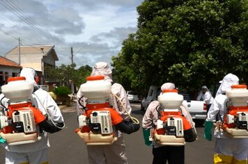 Mais de 80% dos focos de Dengue em Pompeia estão dentro das residências, informa a Vigilância Epidemiológica