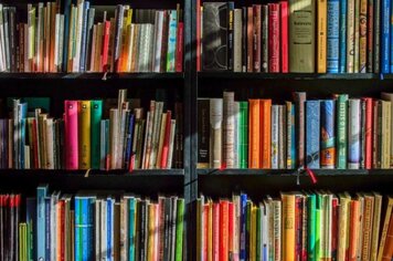 Livros doados pela Gerdau enriquecem acervo da educação