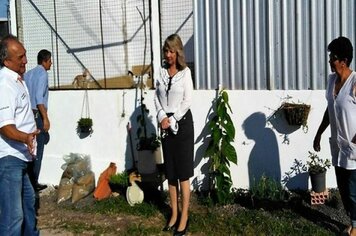 Gatil municipal abriga gatos vacinados e castrados à espera da adoção