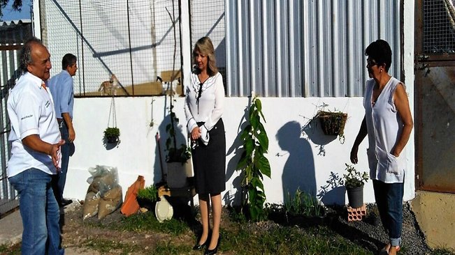 Prefeita tina visita gatil municipal e anuncia novo centro de controle de zoonoses