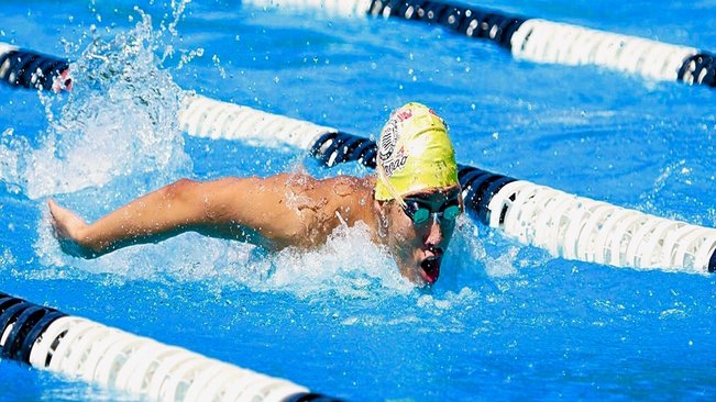 Jovem campeão: enzo conquista três medalhas de ouro e uma de prata no campeonato paulista