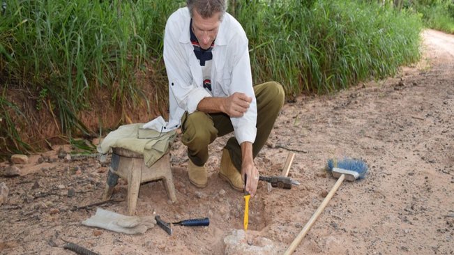 Vale dos dinossauros: expedição descobre fósseis em pompeia