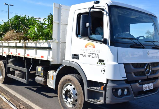 Confira o dia da coleta seletiva e da coleta de galhos no seu bairro