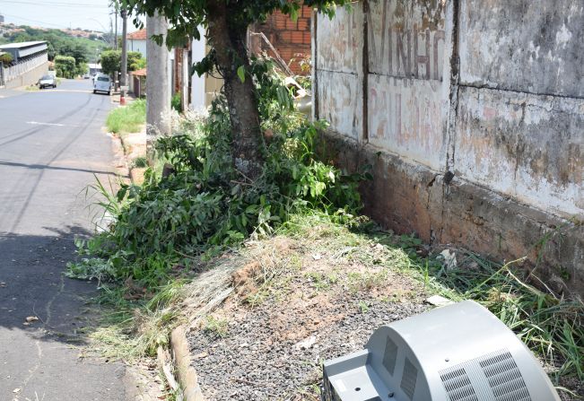 Proprietários de terrenos abandonados com mato alto e sem calçada serão multados