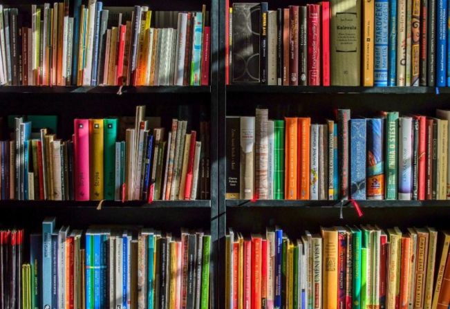 Livros doados pela Gerdau enriquecem acervo da educação